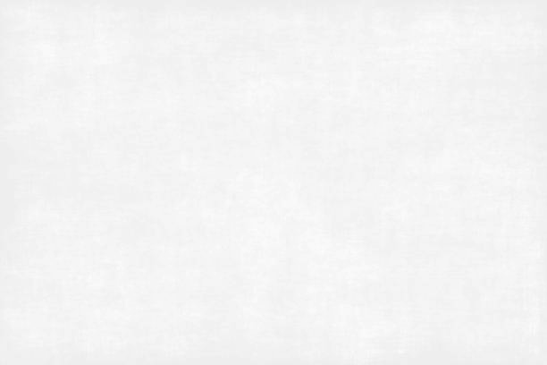 Bright White Velvet Pillow