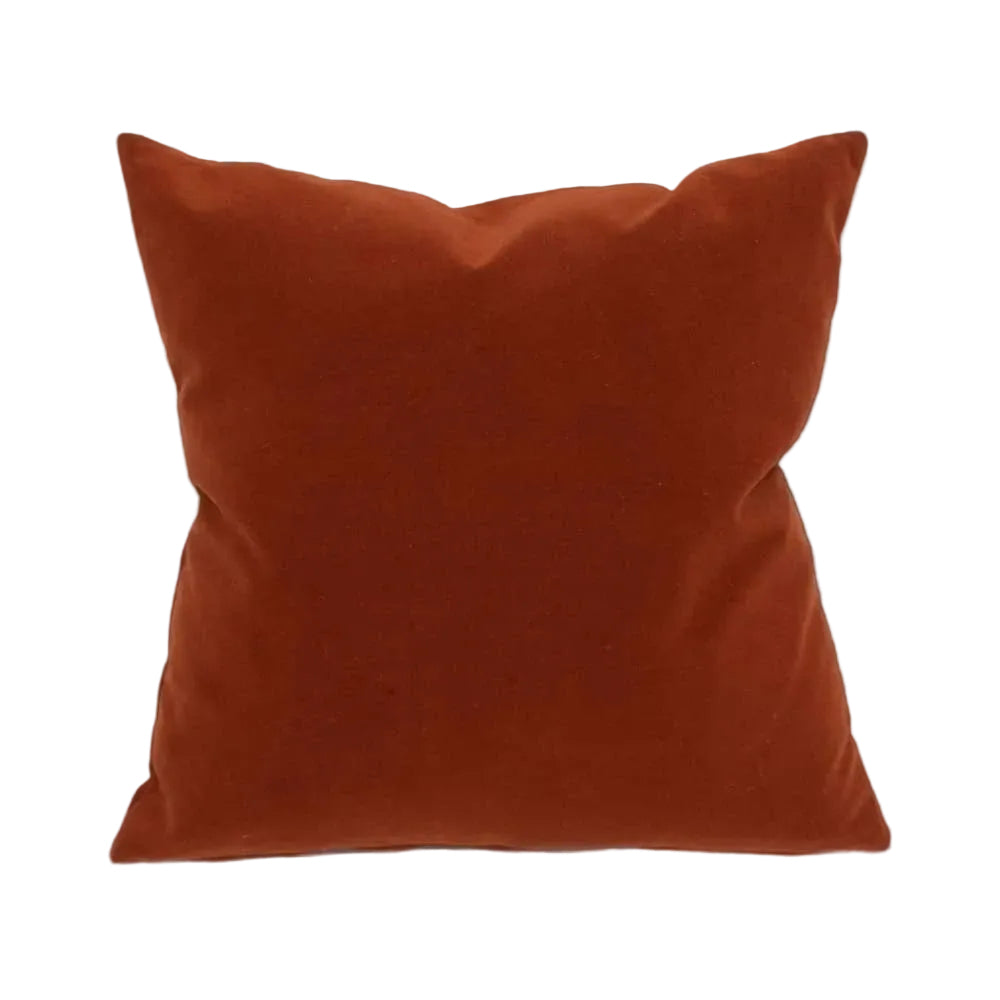 Rusty Orange Velvet: 20x20 Throw Pillow