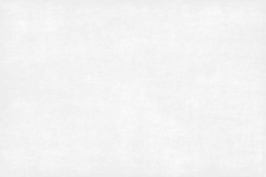 Bright White Velvet Pillow