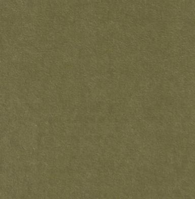 Zucchini 20x20 Throw Pillow